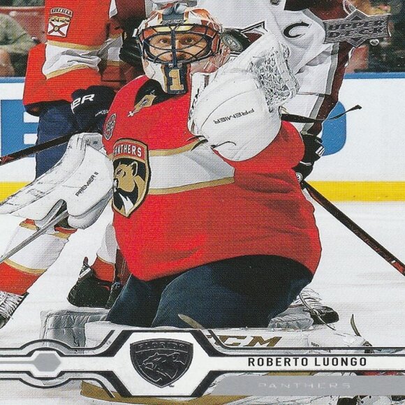 Roberto Luongo Hockey Card Collection - Picture 5 of 6